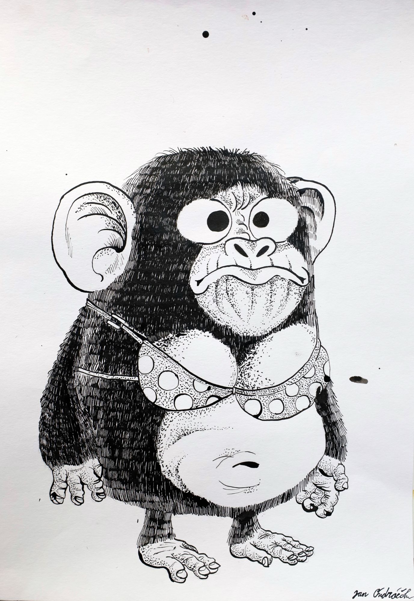 alt